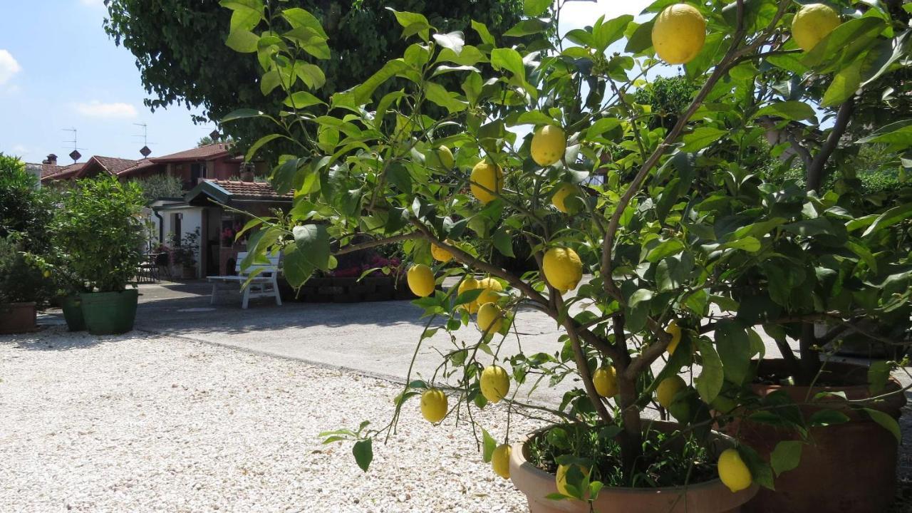 Il Gelso Di Barcuzzi Bed & Breakfast Lonato Ngoại thất bức ảnh